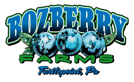 Bozberry Farms Turtlepoint PA Blueberry Farm Logo